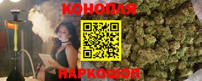 гидра Лесосибирск