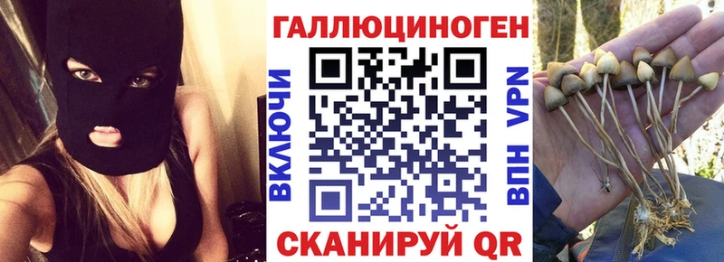 наркота  shop состав  Псилоцибиновые грибы ЛСД  Заволжье 
