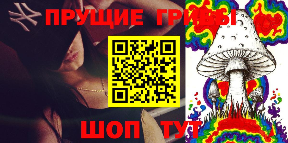 Псилоцибиновые грибы прущие грибы Заволжье